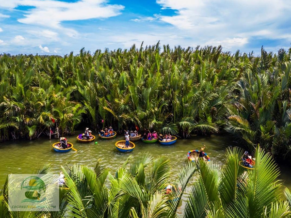 Bay-Mau-coconut-forest-5